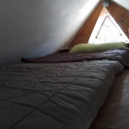 Art Gallery 클라이페다