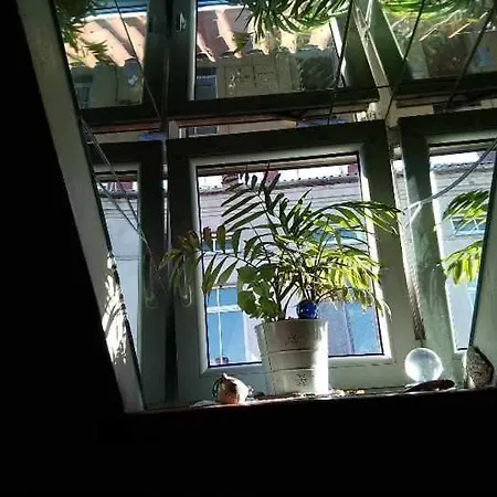 Art Gallery 클라이페다